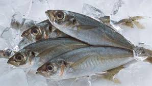 逢年過節宴席中少不了的魚，冷凍魚和活魚的營養價值有什麼不同？ - 每日頭條