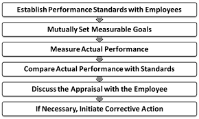 What Is Performance Appraisal Process Steps In The Process