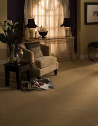 karastan living room carpet