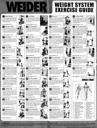 Weider Multi Gym Routines Google Search Gym Workout