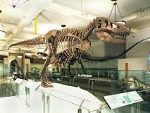 Dinosaur Journey Museum, Museums of Western Colorado de Fruita | Horario, Mapa y entradas 3