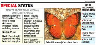Winged Wonder Tamil Yeoman Declared State Butterfly Of