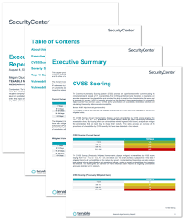 Executive Age Summary Report Sc Report Template Tenable