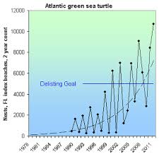 Population Information The Green Sea Turtle