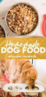 diy homemade dog food recipe college
