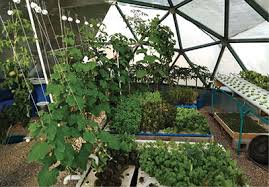 hydroponics water saving farming for