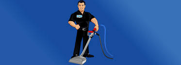 best carpet cleaning company with the