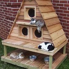 outdoor cat house ideas for feral