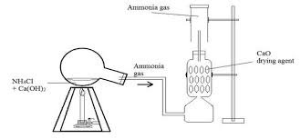 Studying Properties Of Gas
