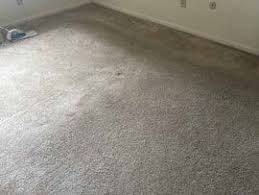 professional carpet cleaners in fishers