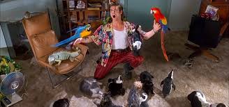 Parents need to know that ace ventura: Ace Ventura Pet Detective Streaming Watch Online