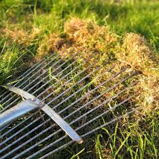 lawn dethatching tips for your gr