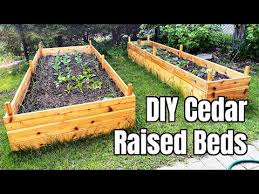 Diy Building Cedar Raised Garden Beds