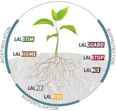 plant care lallemand