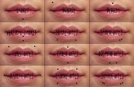 lip piercing guide 18 types explained