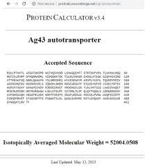 calculation of protien molecular wieght