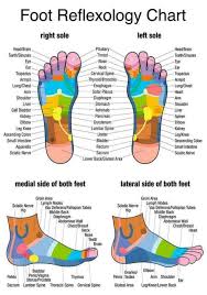 Foot Reflexology Chart Art Silk Poster 24x36 24x43