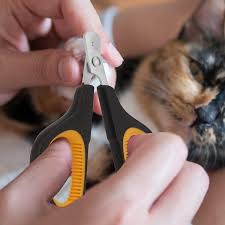 cat nail clipper premium dog nail