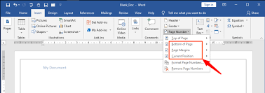 how to insert page numbers in word