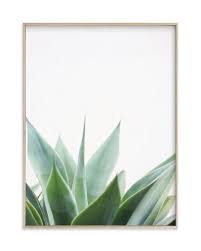balboa park succulent plant framed art