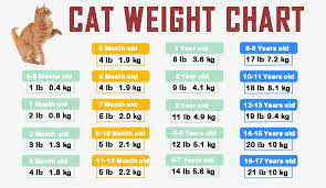 Larger breeds, such as the maine coon, will weigh more. Cat Weight Chart By Age In Kg Ib Clean Hd Charts