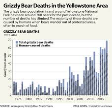 Chart Grizzly Bear Deaths In The Yellowstone Area