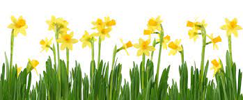 t3.ftcdn.net/jpg/00/11/52/18/360_F_11521819_yv7DEW...