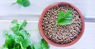 Our coriander powder is ground from coriandrum sativum seeds, ideal for use in culinary recipes. Cilantro Vs Coriander What S The Difference