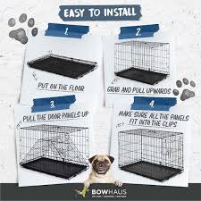 bowhaus 30 in w foldable dog crate