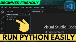 run python file in visual studio code