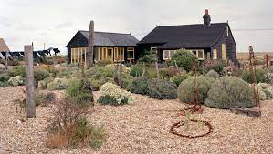 derek jarman s garden magnum photos