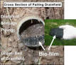 Septic tank troubleshooting