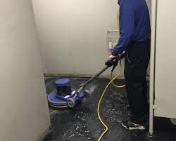monroe cleaning services carleton