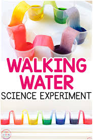 Pngtree provides you with 470+ free education flyer templates. Rainbow Walking Water Science Experiment For Kids