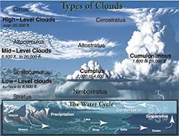 Types Of Clouds Chart Mark Twain Media Amazon Ca Office