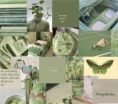 SAGE green photo wall kit olive green ...