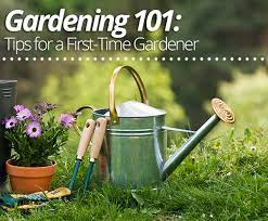Gardening 101 Tips For A First Time