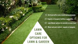 To properly adjust your mower, follow these very simple guidelines. Texas Lawn Care Options For Your Lawn And Garden Gomow