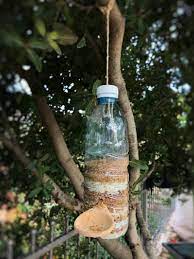 Fabriquer une mangeoire oiseaux en bouteille de plastique : tutos et idées  faciles