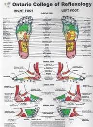 Reflexology Chart For The Feet And Ankles Reflexology