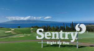 the sentry 2024 golf leaderboard pga tour
