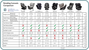 2024 rotating cats comparison find