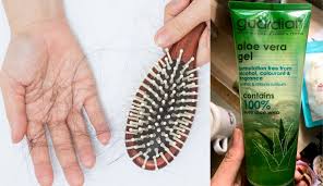 Lakukan cara ini untuk merawat rambut kering kamu ! Hanya Tambahkan Bahan Ini Dalam Syampu Masalah Rambut Gugur Makin Kurang Maskulin