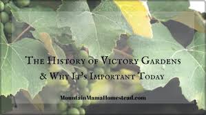 the history of victory gardens why it