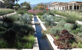 Landscape Water Conservation The