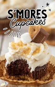 s mores cupcakes eships and laser