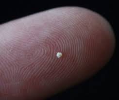A GRAIN OF SAND CAN test... - 10000 Uses for a Grain of Sand | Facebook