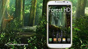 Forest HD Live Wallpaper [1280x720 ...