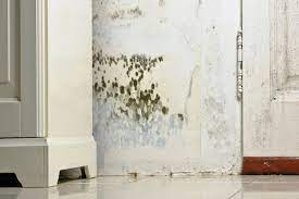 How Can I Get Rid Of Mould Permanently