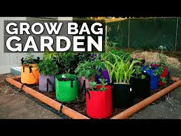 Start A Grow Bag Garden And Water It